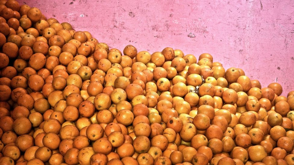 fotografia decorativa