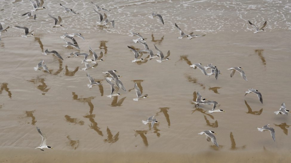 fotografia decorativa paisaje