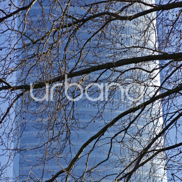 fotografia decorativa bilbao