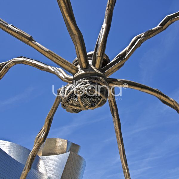 fotgrafia decorativa bilbao