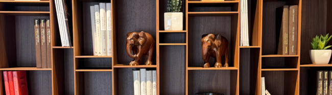 portada blog estantería